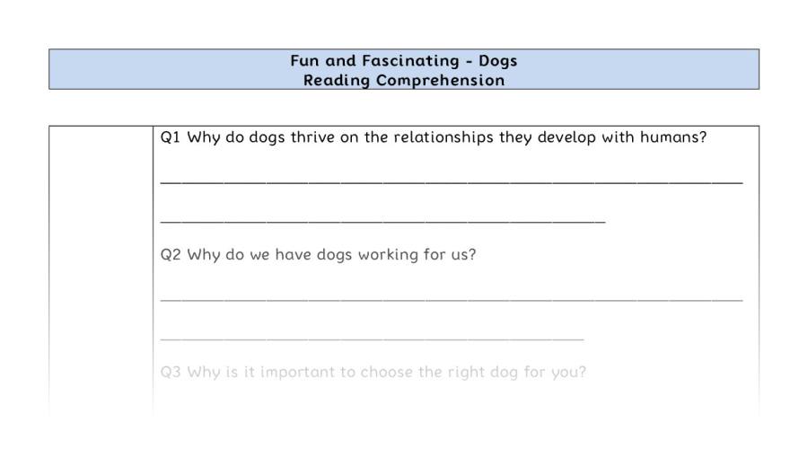 Reading Comprehension-Dogs-inference Focus
