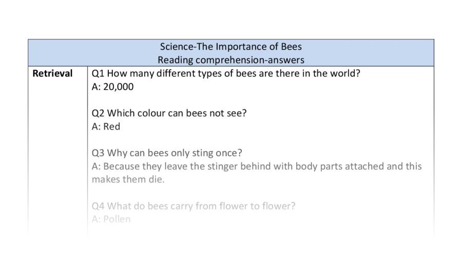 Reading comprehension - retrieval - The Importance of Bees - answers