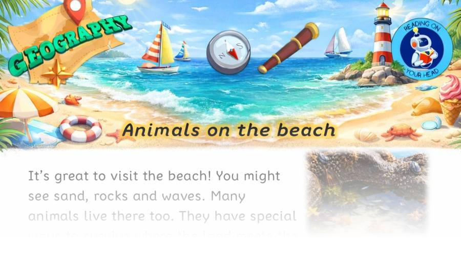 Animals on the beach - condensed version
