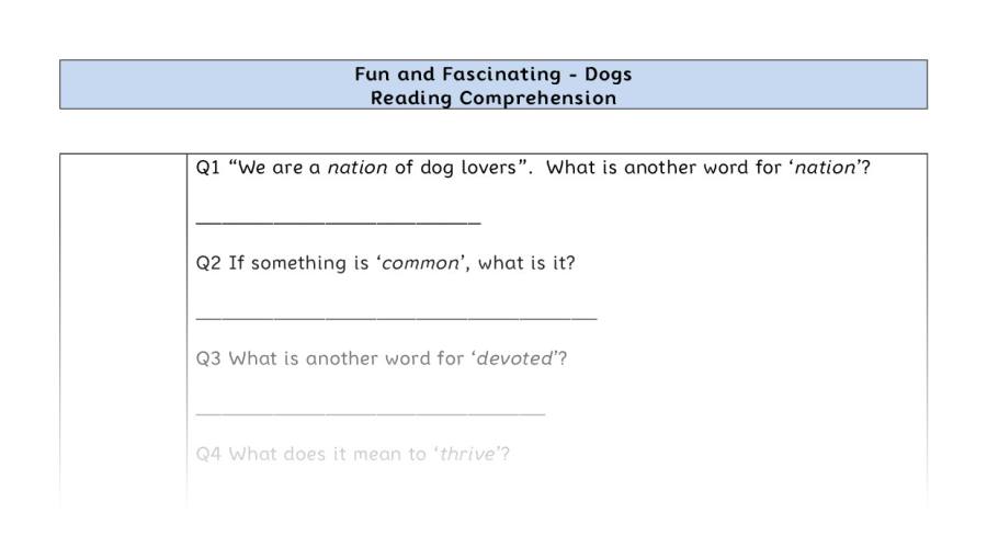 Reading Comprehension-Dogs-Vocabulary Focus