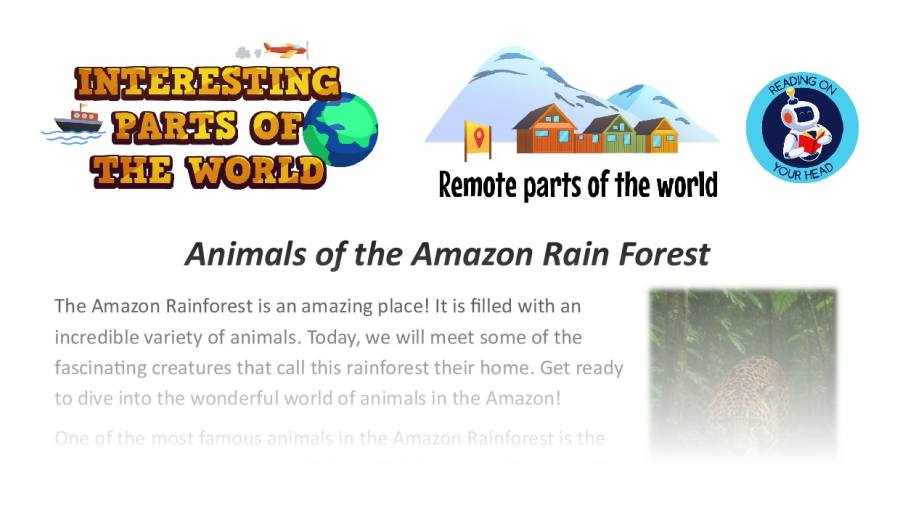 Animals of the Amazon Rain Forest