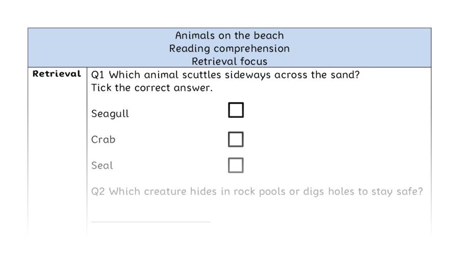 Reading comprehension - retrieval - Animals on the beach