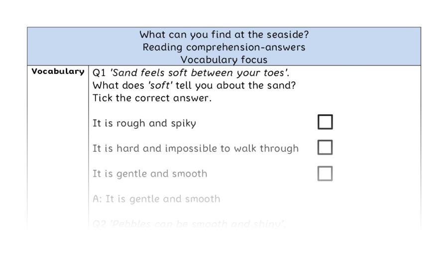 Reading comprehension - vocabulary - What can you find at the seaside - answers