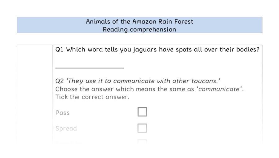 Reading comprehension-VRSIPE-Animals of the Amazon Rain Forest
