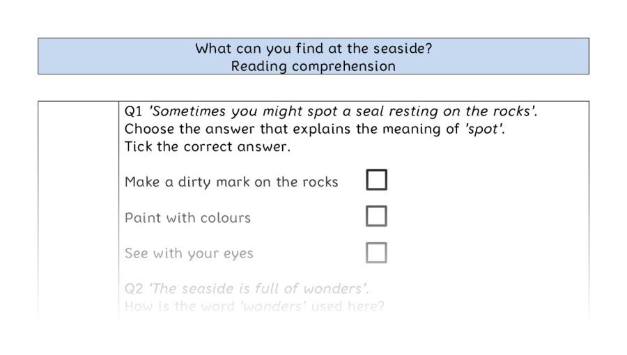 Reading comprehension - VRSIPE - What can you find at the seaside