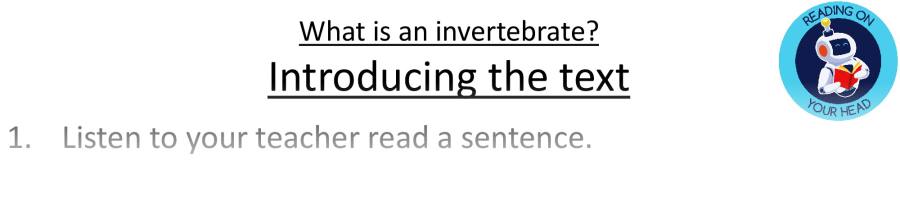 Teaching slides VRSIPE-What is an invertebrate