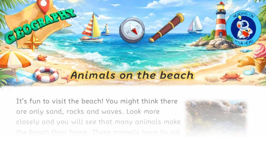 Animals on the beach