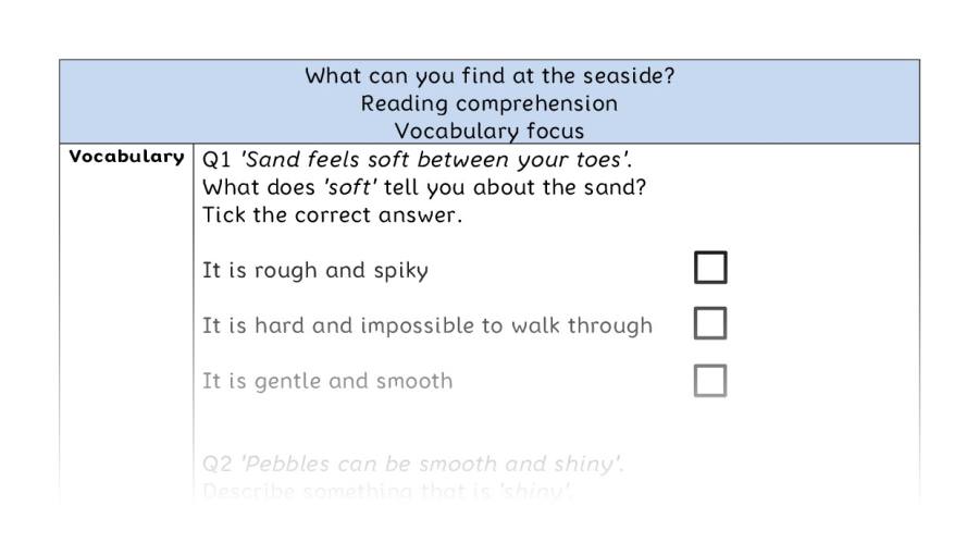Reading comprehension - vocabulary - What can you find at the seaside