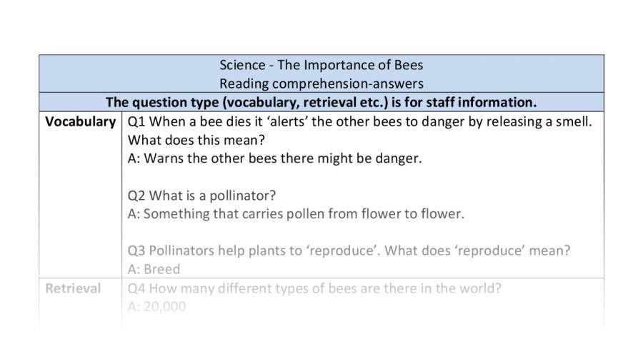 Reading comprehension - VRSIPE - The Importance of Bees - answers
