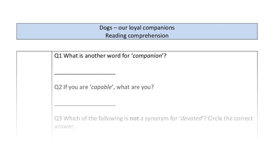 Reading comprehension - Dogs our loyal companions - VRSIPE