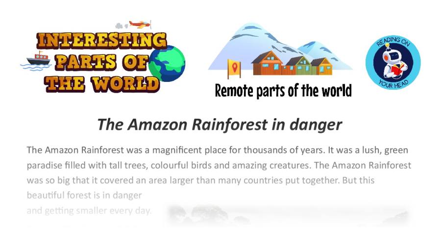 The Amazon Rainforest in danger