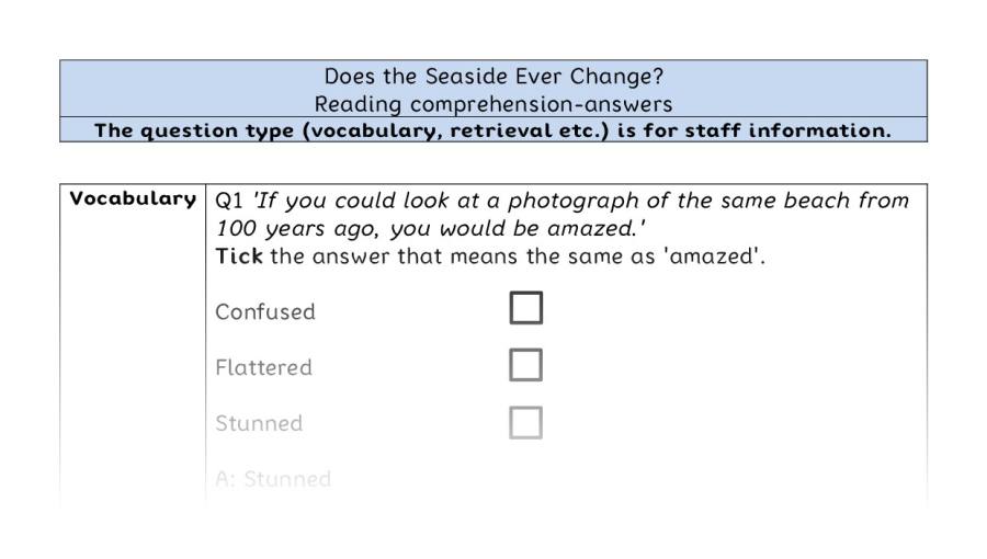 Reading comprehension - VRSIPE - Does the Seaside Ever Change - answers