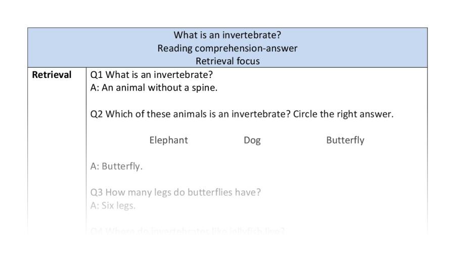 Reading comprehension - retrieval - What is an invertebrate