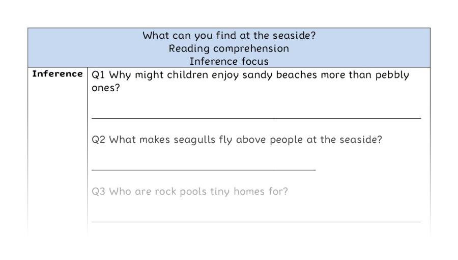 Reading comprehension - inference - What can you find at the seaside