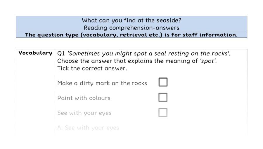 Reading comprehension - VRSIPE - What can you find at the seaside - answers