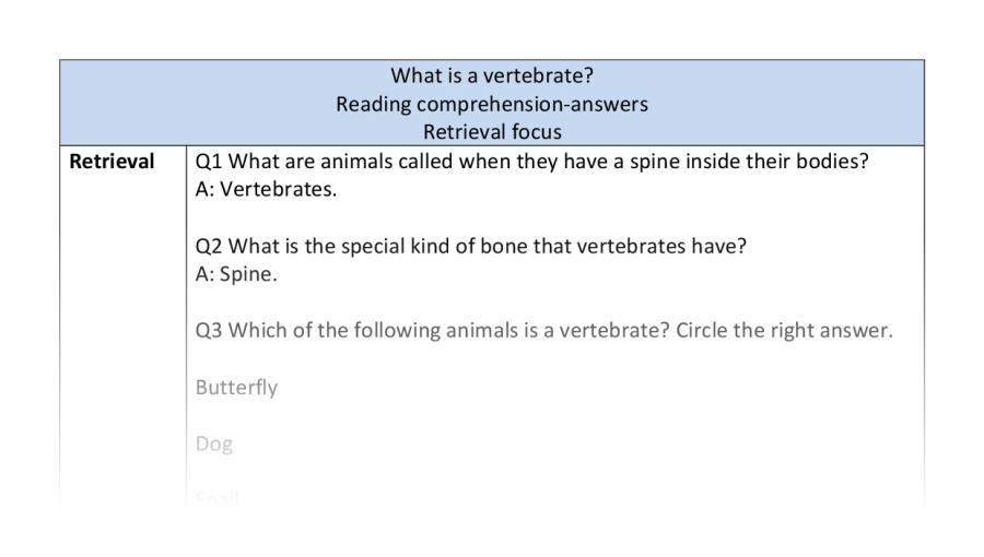 Reading comprehension - retrieval - What is a vertebrate
