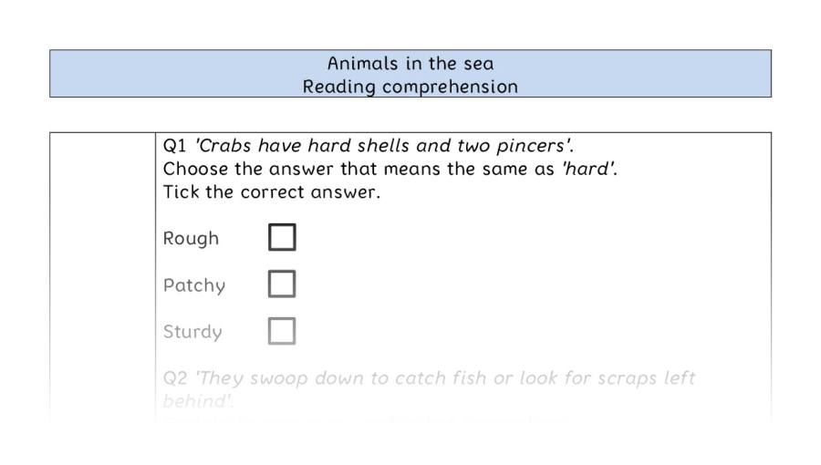 Reading comprehension - VRSIPE - Animals in the sea