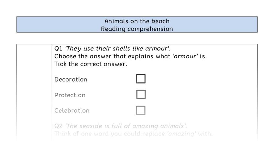 Reading comprehension - VRSIPE - Animals on the beach