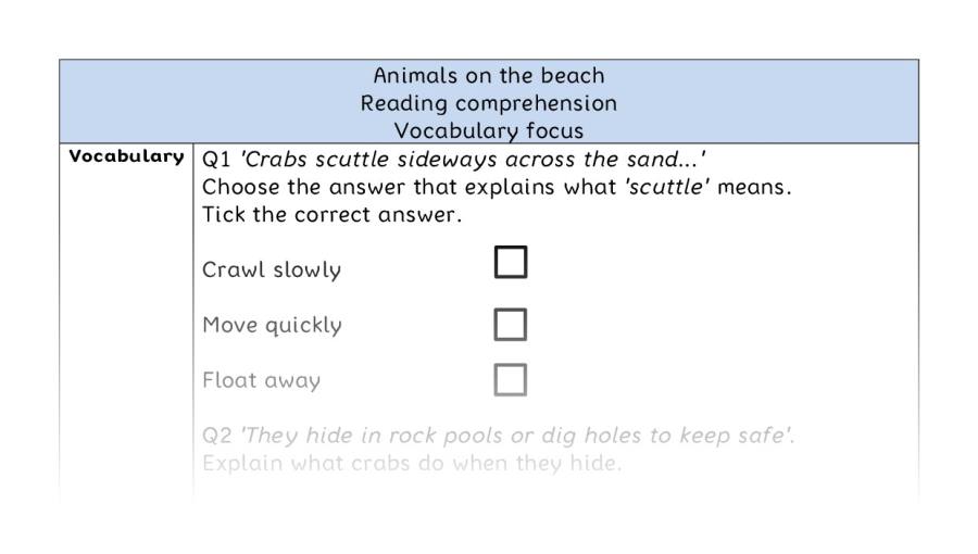 Reading comprehension - vocabulary - Animals on the beach