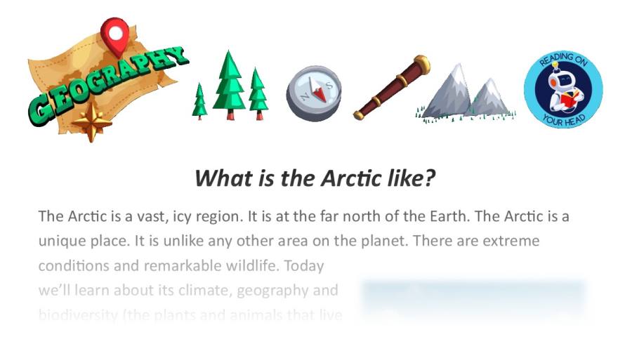 What is the Arctic like