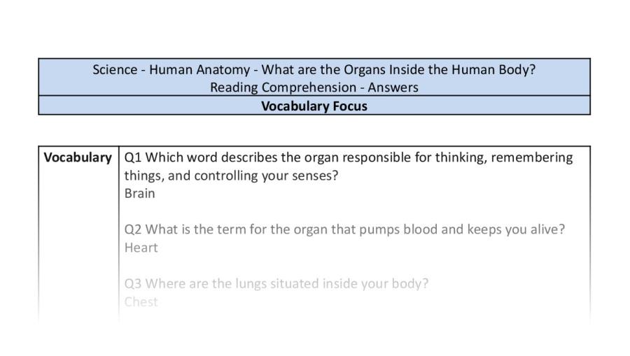 Reading Comprehension - What are the Organs Inside the Human Body - Vocabulary Focus