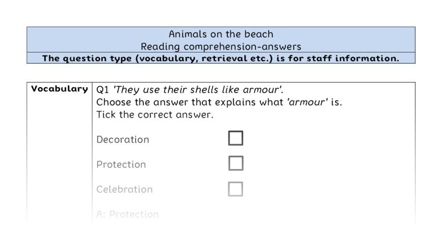 Reading comprehension - VRSIPE - Animals on the beach - answers