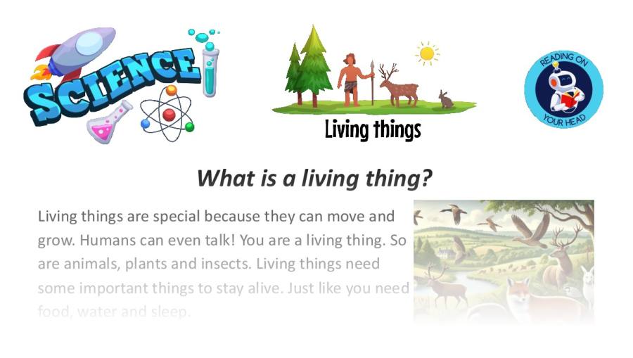 What is a living thing
