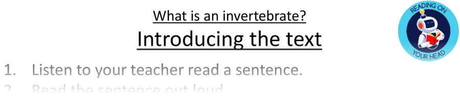 Teaching slides retrieval-What is an invertebrate