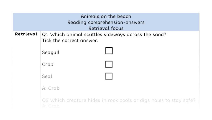 Reading comprehension - retrieval - Animals on the beach - answers