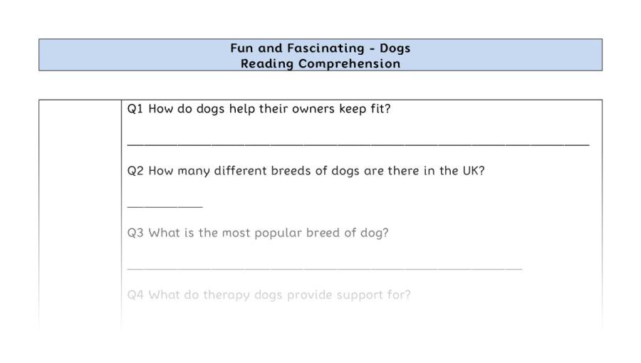 Reading Comprehension-Dogs-Retrieval Focus