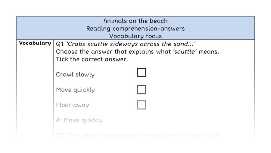 Reading comprehension - vocabulary - Animals on the beach - answers