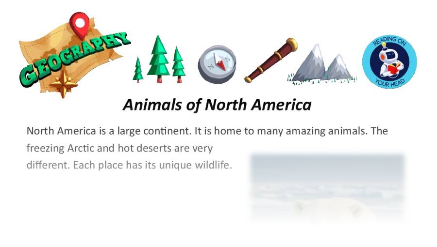 Animals of North America