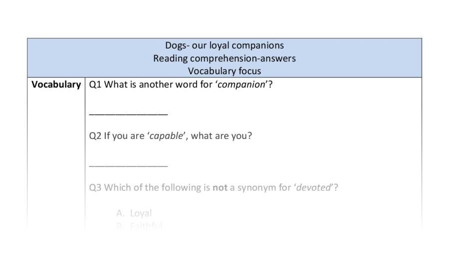 Reading comprehension - Dogs our loyal companions - vocabulary