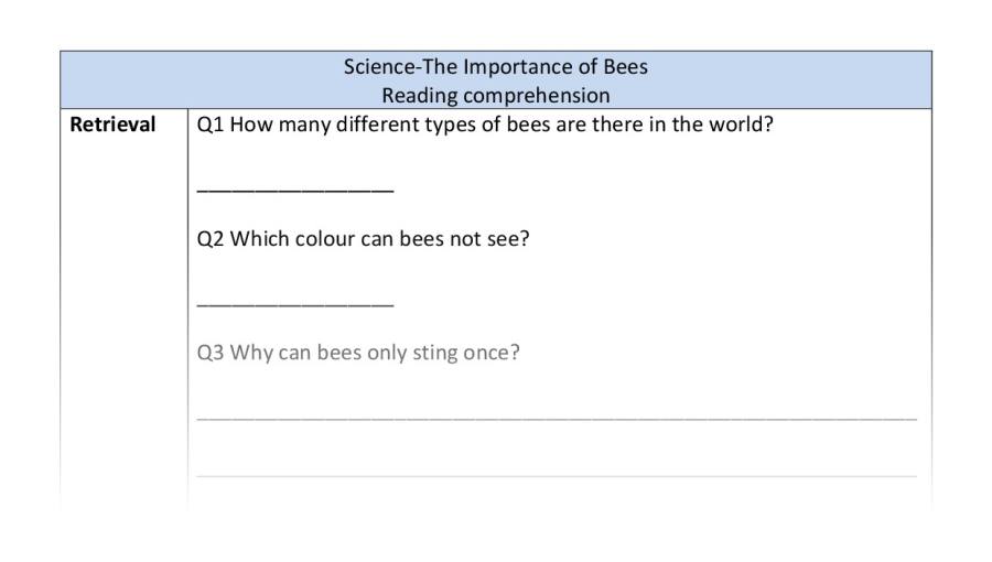 Reading comprehension - retrieval - The Importance of Bees