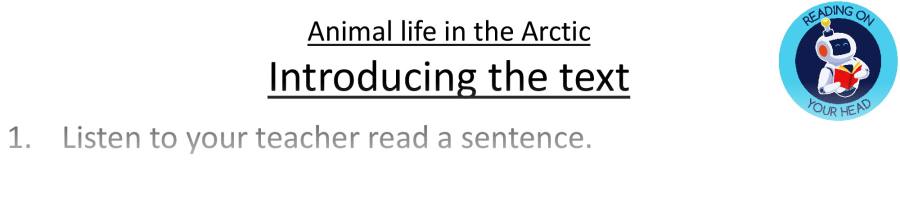Teaching slides vocabulary-Animal life in the Arctic