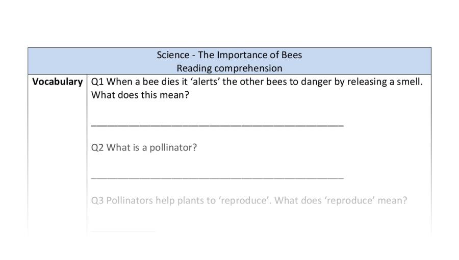 Reading comprehension - vocabulary - The Importance of Bees